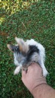 20180714_080315.jpg