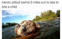 85715228.jpg