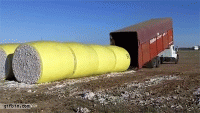 E6D05129-11A5-4D30-A280-C2A20232355B.gif