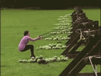 85713768.gif