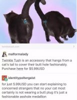 laugh-then-weep-for-humanity-30-photos-251.jpg