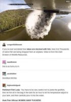 85718262.jpg