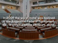 totally-useless-facts-you-need-to-know-because-why-not-25-photos-7.jpg