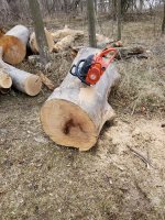 20180328_134950.jpg