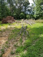 20180728_162454.jpg