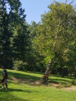 20180729_161336.jpg