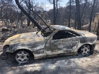 7672FBFE-E039-4E91-8292-906227088D10.jpeg 7672FBFE-E039-4E91-8292-906227088D10.jpeg