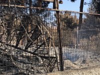 7EE2BB62-9208-4083-98B4-7EE897165B03.jpeg 7EE2BB62-9208-4083-98B4-7EE897165B03.jpeg