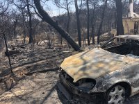 0F30129F-809A-405A-8CBC-C93BA94CFFEC.jpeg 0F30129F-809A-405A-8CBC-C93BA94CFFEC.jpeg