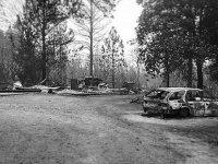 70B54EA6-68A8-4CAF-8D85-7C8DB6CF9DD4.jpeg 70B54EA6-68A8-4CAF-8D85-7C8DB6CF9DD4.jpeg