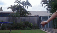 D5775B84-1712-45E7-966F-82D770950A72.gif