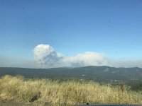 3C41775C-C700-4255-9905-5DDBC8EEAC56.jpeg 3C41775C-C700-4255-9905-5DDBC8EEAC56.jpeg