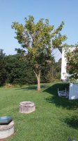 20180804_101233.jpg 20180804_101233.jpg