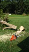 20180804_102457.jpg 20180804_102457.jpg