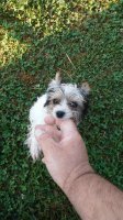 20180714_080311.jpg