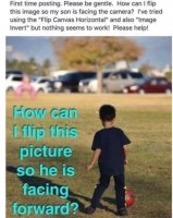 85738549.jpg