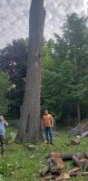 20180812_084813.jpg 20180812_084813.jpg