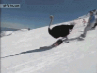 tumblr_inline_p7ict107Qm1s48u4s_1280.gif