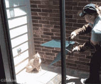 tumblr_pdltnkaIZ51r539hzo1_400.gif