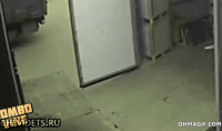 85240750.gif