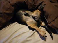 IMG_20180817_072322171_LL.jpg