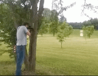 9645805B-1198-4AED-8F6A-D2D0A7C03BEA.gif