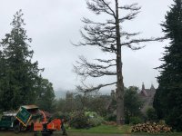 IMG-20180821-WA0002.jpg