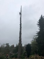 IMG-20180821-WA0003.jpg
