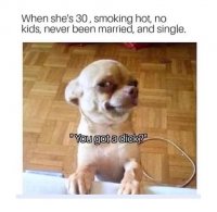 85746742.jpg