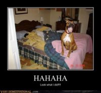 Demotivational-Posters-01.jpg