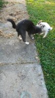 20180714_075905.jpg