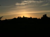 75F3D968-A19D-43C4-923C-21E6B35404AB.jpeg