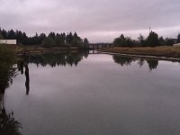 24FA03B0-C287-4310-BF30-5317205E8972.jpeg