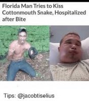 images (42).jpeg