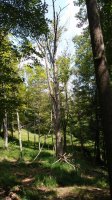 20180827_133927.jpg