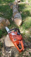 20180827_134120.jpg