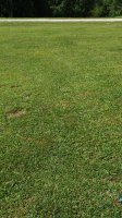 20180828_111313.jpg