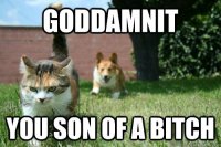 GODDAMNIT-YOU-SON-OF-A-*b-word.jpg
