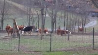 20160307_175709.jpg