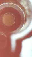 20160308_122921.jpg