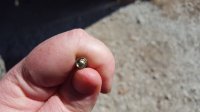 20160308_121828.jpg