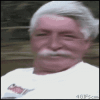 dog-steals-owners-dentures-rocks-killer-smile-photos-11.gif