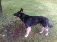 01C2E680-0104-4D63-9710-0366A8141BB0.jpeg 01C2E680-0104-4D63-9710-0366A8141BB0.jpeg