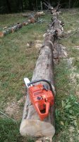 20180911_103932.jpg