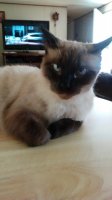 20180910_141128.jpg