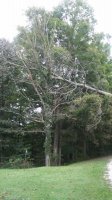 20180912_103229.jpg
