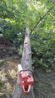20180912_175705.jpg
