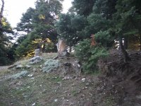 IMG_20180916_181506.jpg