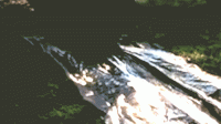 tumblr_pf431iZitH1ry46hlo1_500.gif