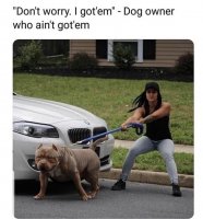 85772614.jpg